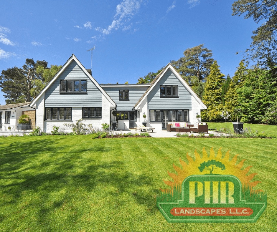 Lawn Care Scotch Plains