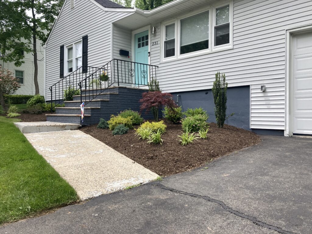Garden Bed Planting