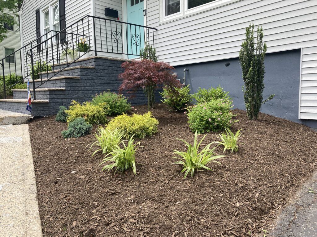 Garden Bed Design