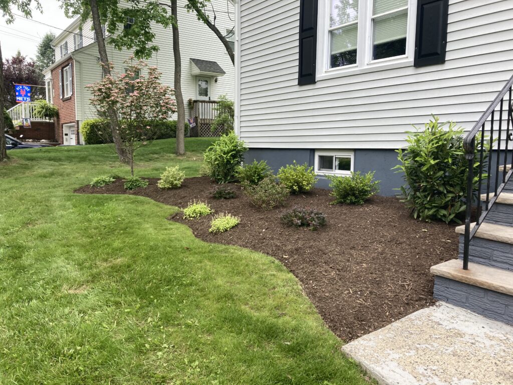 Front Yard Design