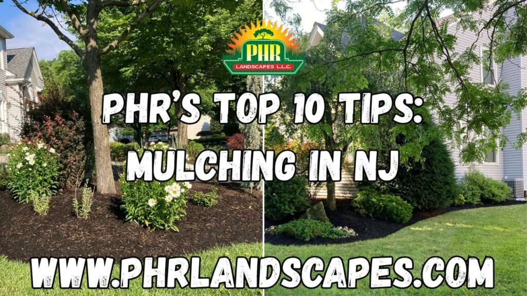 Mulching Tips for New Jersey