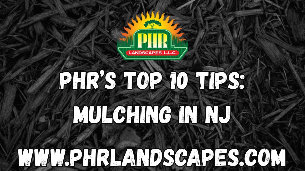 Mulching Tips for New Jersey