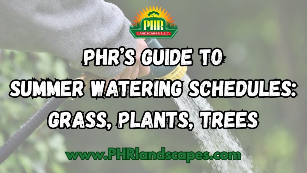 Summer Watering Schedules