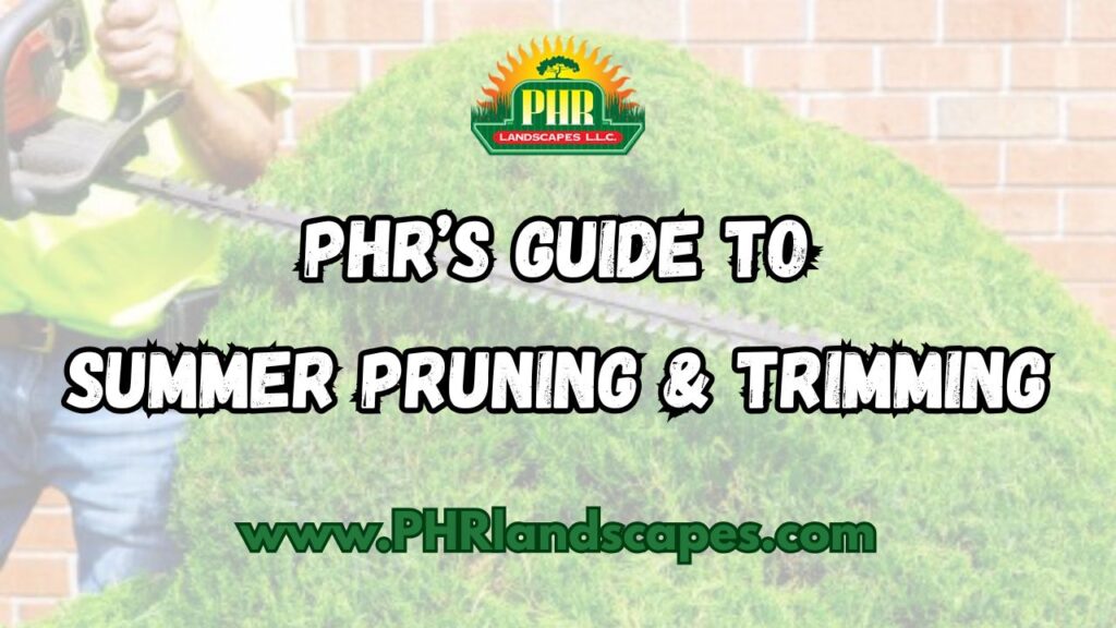 Summer Trimming and Pruning