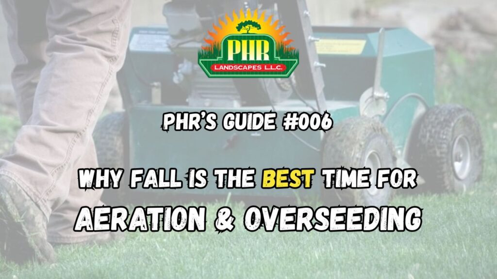 Aeration and Overseeding