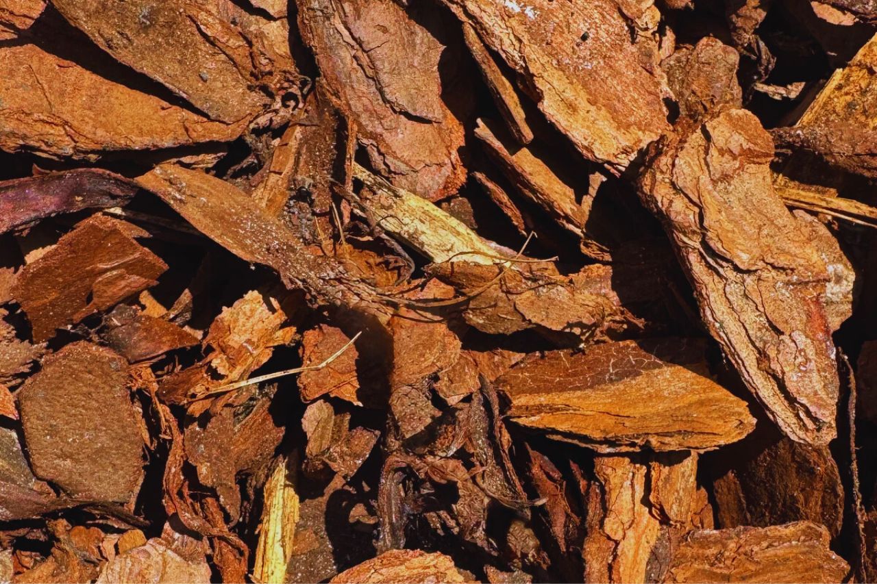 Pine Bark Mulch