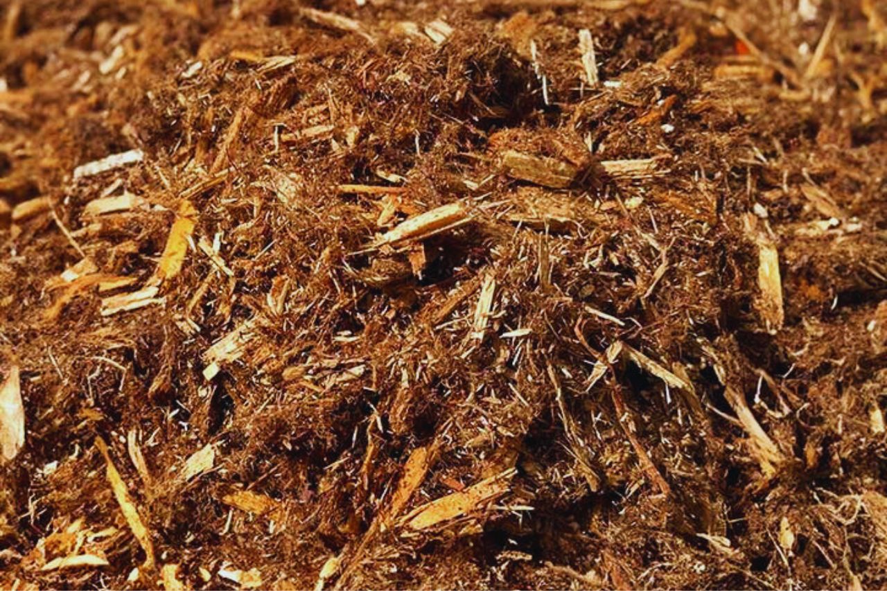 Cedar Mulch