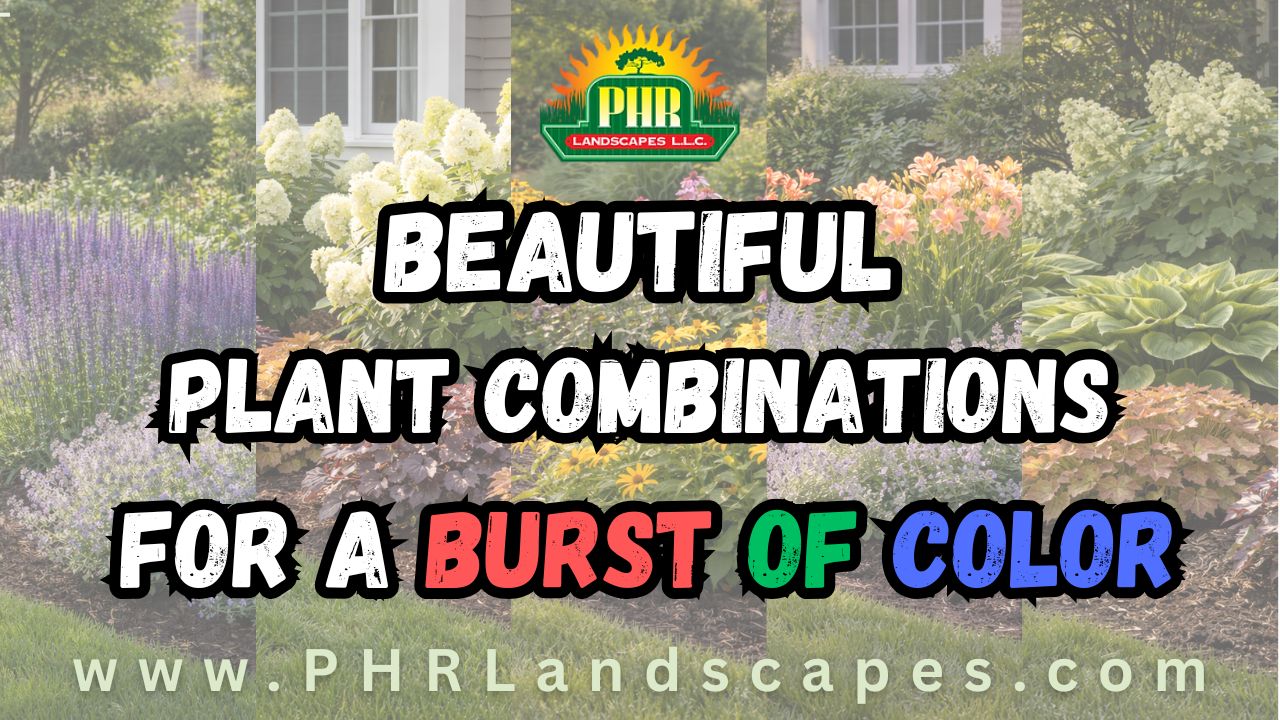 Beautiful Plant Combinations