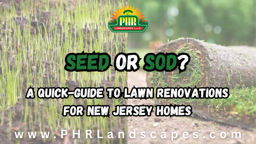 Seed or Sod - Lawn Renovation Quick Guide