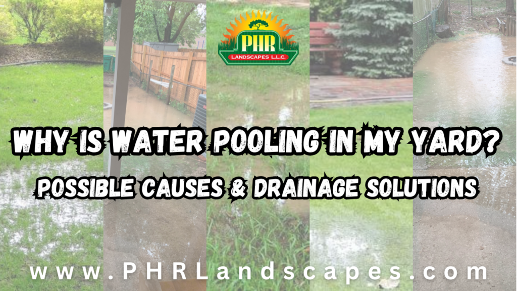 Why is water pooling in my yard