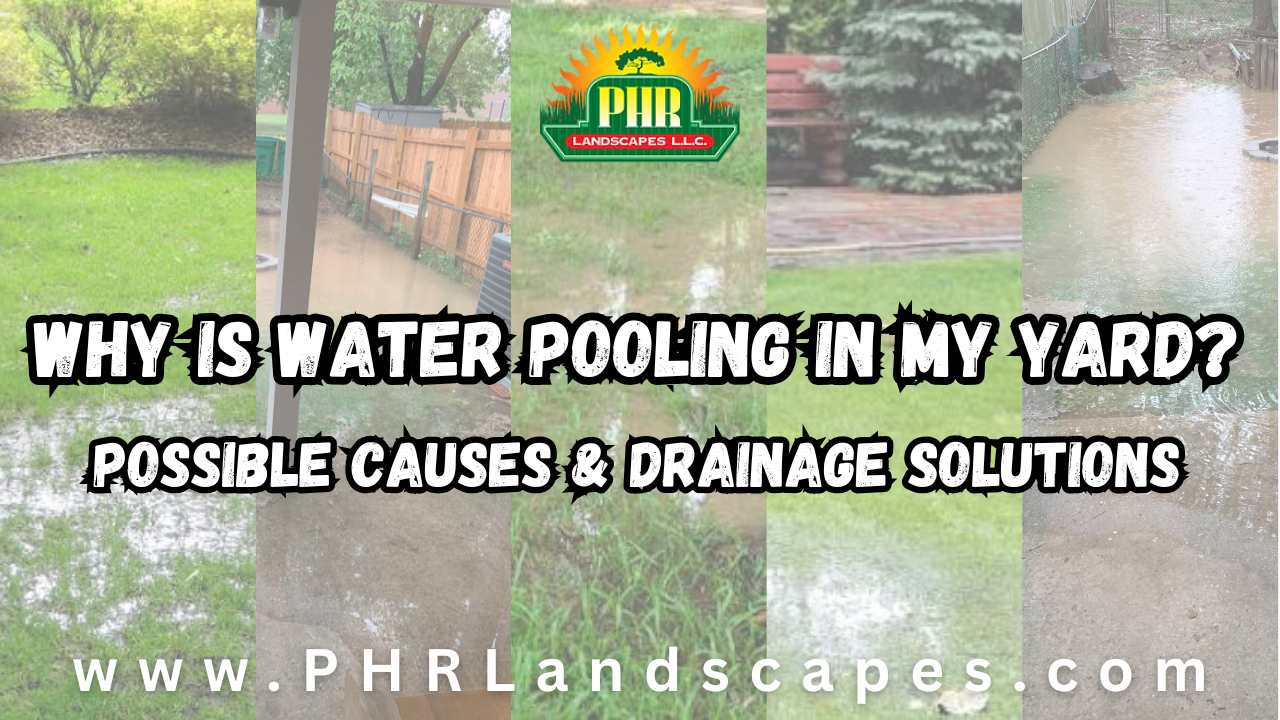 Why is water pooling in my yard