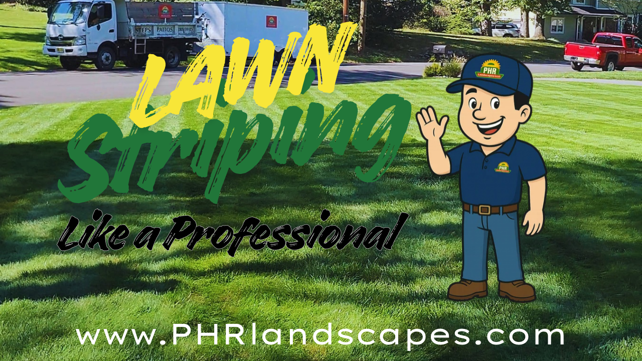 How to Stripe a Lawn like a Professional